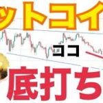 ビットコイン底打ちの可能性が非常に高い！？機関投資家は押し目買いか！？