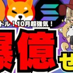 【🔥年内10万ドル】ビットコイン強気予想！過去最高値いつ超える？／ソラナが強気！ミームコインが絶好調／柴犬とドージコインが足踏み状態。。／SUIがまた強気。。こいつ、ホンモノか？