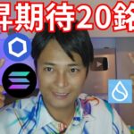 【年末まで上昇期待の仮想通貨20銘柄】ビットコイン アルトコイン