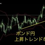 リップル200万円分買いました。ポンド円・ビットコイン・XRP・アルゴの相場を見てみました。2024年9月3日17時