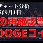 2024年9月1日ビットコイン相場分析