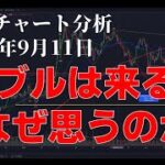 2024年9月11日ビットコイン相場分析