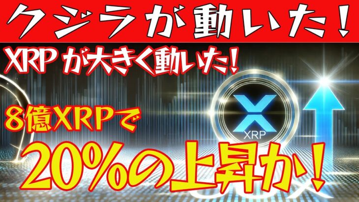 【仮想通貨が暴落】ただし！リップルは20%以上の価格上昇！？今後◯ドルまで動きます！【ビットコイン】【BTC】