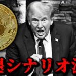 【トランプ米大統領選敗退シナリオ浮上】仮想通貨どころか金融株式市場が終わる可能性。ビットコイン半減期サイクルバブルはもう来ない？税率20％は実現する？Nvidia否定他アルトUniswap問題etc