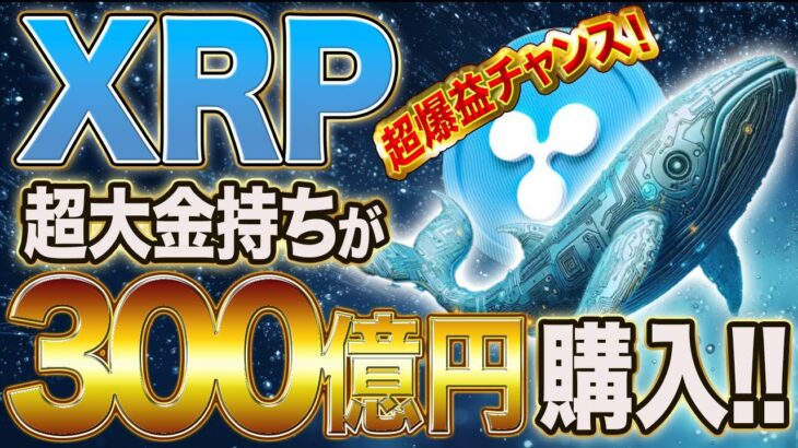 【リップル】大口投資家が3億XRP トークン購入！リップルまもなくブレイクアウト