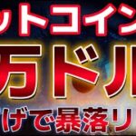 ビットコイン利下げにより4万ドルまで暴落する？？さらなる底をつけるとアナリストが指摘。