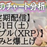 【不定期配信】8月31日リップル(XRP)仕込みと爆上げ考察【海外FX/仮想通貨】