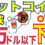 【ビットコイン】8月安値49500ドル再び試す可能性！？投資家「極度の恐怖」か。