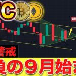 【仮想通貨】ビットコイン勝負の9月に突入。月初の動きが超重要だが騙しに注意!!週足の動きに要注目。