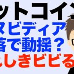 ビットコイン（BTC）！エヌビディア株１０%下落で動揺？これしきでビビってたらダメ！