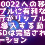 ISO20022への移行がリップルに有利な理由 / 銀行がリップルの決済を導入する動機 / RLUSDは完結されたソリューション #xrp #rlusd #iso20022 #リップル最新情報