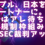 SEC裁判アップデート / XRPLにスマートコントラクト？ / リップル、日本・韓国を最重要パートナーに / 仮想通貨はアレ待ち / 世界のクリプト規制枠組みの状況 #xrp #リップル最新情報