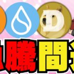 【💀SUI危険？】利下げ決定！ビットコイン今後上昇か？／10月に期待が集まる／ミームコインも今後爆億！ドージコインは強気フェーズ突入！柴犬はクジラが活発化／SUI上昇中だが注意点も。。