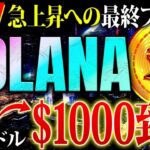 【仮想通貨ソラナ】Solanaが急上昇のサイン点灯！海外では最大1000ドル到達との予想も！最後の仕込み時と今後の投資戦略を解説【SOL】