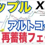 リップル（XRP）のニュースヤバい！？アルトコイン再蓄積フェーズでバブル再開も近い！？