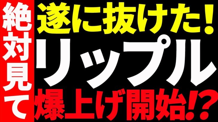 【仮想通貨】リップル遂に抜けた！爆上げ開始⁉︎今後の最新分析を共有！【XRP】