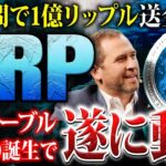 【リップル(XRP)】新ステーブル誕生で遂に動く！1億リップル送金でクジラも大量蓄積！バブル前の買い増しポイント公開！【仮想通貨】