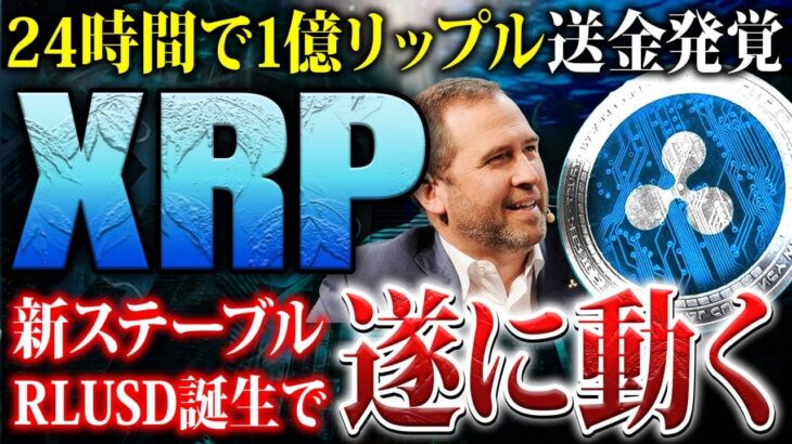 【リップル(XRP)】新ステーブル誕生で遂に動く！1億リップル送金でクジラも大量蓄積！バブル前の買い増しポイント公開！【仮想通貨】