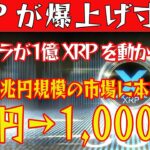 【XRPが爆上げ寸前！】新ステーブル誕生で遂に動く！1億リップル送金でクジラも大量蓄積！XRPの買い時、全て教えます【仮想通貨】【BTC】【ビットコイン】【SHIB】