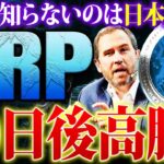 【リップル(XRP)】金融アナリストが30日後に高騰と予想！バブルに間に合う仕込み方と買い増しポイントを公開！【仮想通貨】