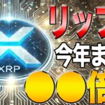 【保有者勝ち確】第４四半期のリップルは爆益確定！！著名アナリストによる分析！！【リップル解説】【リップル攻略】【XRP】【ドージ】【ソラナ】【PEPE】【SHIB】【DOGE】【BONK】【SOL】
