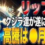 【リップル急騰】リップル、クジラたちが莫大な資産を動かす！！【リップル解説】【リップル攻略】【XRP】【ドージ】【ソラナ】【PEPE】【SHIB】【DOGE】【BONK】【SOL】