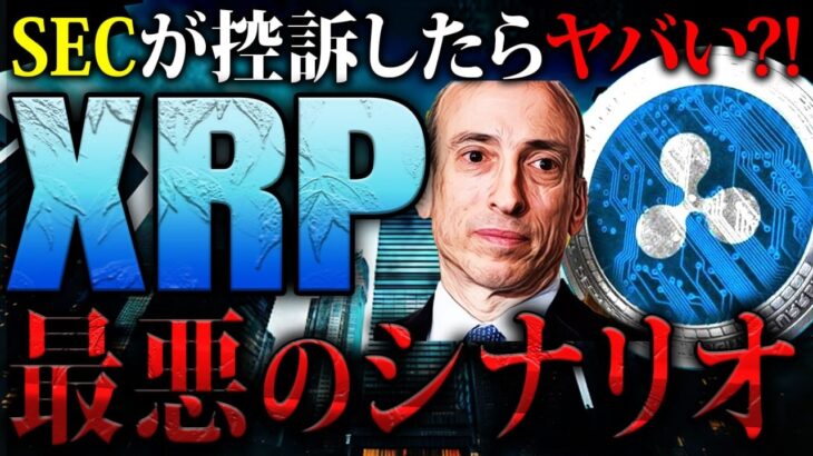 【リップル(XRP)】SEC控訴で再暴落の可能性！利下げの影響でアルトコインバブル到来なるか!?今後の価格予測を解説！【仮想通貨】