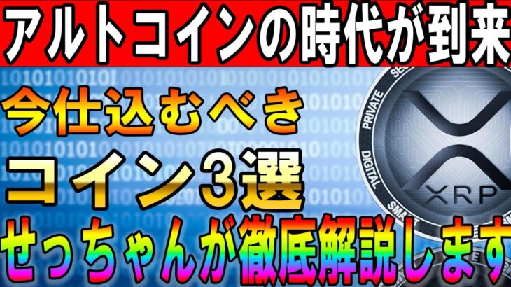 アルトコインシーズン到来！せっちゃんが徹底解説【イーサリアム】【リップル】【シバコイン】【ソラナ】【シバイヌ】【ドージ】【XRP】【SHIB】