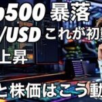 ビットコインとs&p500 株価指数　恐怖指数上昇でBTCが回復出来ない2話