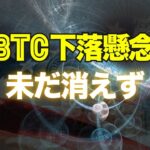 ビットコインの下落懸念は未だ消えず