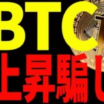 ⚠️注意⚠️ビットコインの上昇に騙されるな！今後の最新分析を共有！【仮想通貨】
