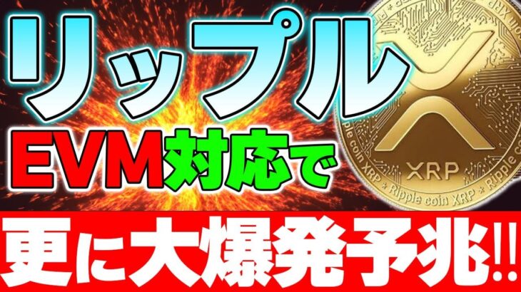 【リップル】さらに大幅飛躍！！今後更なる時代が来ます！！