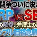 【リップル】リップル裁判最新情報！リップル勝利で価格急騰！？