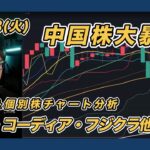 【10/8 中国株大暴落 指数＆個別株チャート分析】 三菱重工業・コーディア・フジクラ・ディスコ
