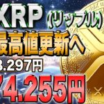 リップル15倍へ！仮想通貨業界を賑わす高騰情報！！【仮想通貨】【シバコイン】【イーロンマスク】【ビットコイン】【SHIB】【XRP】【DOGE】【リップル】