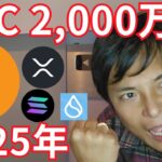 ビットコイン 2025年 2,000万円 到達へ 【仮想通貨 BTC アルトコイン 暗号通貨 暗号資産】