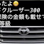 おすすめの車両保険があったよ(^^)ランドクルーザー300納車