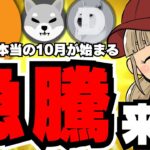 【🔥急騰ビットコイン】6.6万ドル！このままバブル到来？／上昇の理由に中国とハリス？いったい何が？／ミームコインも急騰！ドージ柴犬が乱舞！／MEWとWorldcoinに注目！