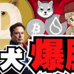 【🔥ドージ爆上げ】仮想通貨上昇！ビットコイン6.8万ドルへ／大統領選がカギ？トランプ優勢で爆上げか／ミームコイン急上昇！柴犬・BONKの犬系にバブルの波が。。