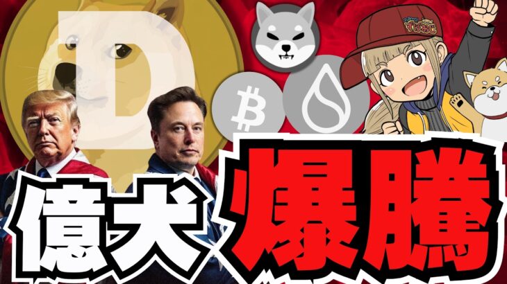 【🔥ドージ爆上げ】仮想通貨上昇！ビットコイン6.8万ドルへ／大統領選がカギ？トランプ優勢で爆上げか／ミームコイン急上昇！柴犬・BONKの犬系にバブルの波が。。