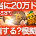 【仮想通貨最新情報】ビットコイン8万ドルに達したらアルトシーズン到来か? 本日は選挙 BTCまり