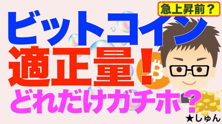 ビットコイン（BTC）！これからの急上昇に備えて？ガチホの適正量はどれくらい？