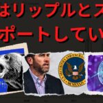 国連がリップルとステラを新たなグローバル決済ネットワークの基礎として承認！- BTC XRP #xrp #リップル #xrp リップル
