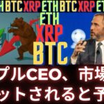 リップルのCEO、ブラッド・ガーリングハウス氏は暗号通貨のリセットを予想、それは米国選挙後に起こるのか？- BTC XRP #xrp #リップル #xrp リップル