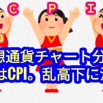 【今夜の重要指標はCPI！乱高下にご注意を！】本日の相場分析は「BTC・他アルトコイン14種」2024/10/10