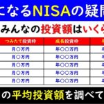 【疑問】みんなNISAでいくら投資してるの？