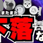 【💀ビットコイン下落】理由は何？今後上がるの？／急上昇コインは〇〇／ミームコインも苦しい。でもPOPCATだけ上がってる！ドージコイン・柴犬本気出してー！！