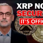 Ripple XRP News – 🚨 XRP NOT A SECURITY! SEC Appeals Ripple Case – Here’s What You MUST Know!