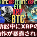 SEC訴訟中にXRPの価格操作が暴露される！- BTC XRP #xrp #リップル #xrp リップル