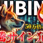 【SHIB（柴犬コイン）】50万倍の再来なるか大型イベントが開催決定！そこから導き出せる今後のSHIBの未来と価格予想を徹底解説！！【仮想通貨】【BTC】【XRP】【リップル】